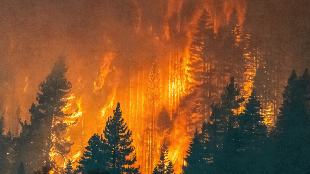 Crisis climática prolonga las temporadas de fuego