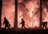 Europa y EEUU enfrentan un infierno climático Científicos vinculan la intensidad del fenómeno con el cambio climático