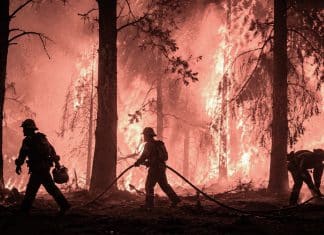 Europa y EEUU enfrentan un infierno climático Científicos vinculan la intensidad del fenómeno con el cambio climático