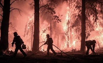 Europa y EEUU enfrentan un infierno climático Científicos vinculan la intensidad del fenómeno con el cambio climático