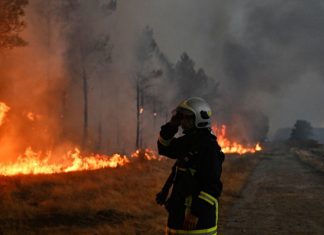 Francia detiene a 402 personas por incendios forestales La ola de fuego deja cifras históricas