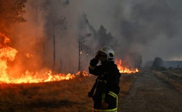 Francia detiene a 402 personas por incendios forestales La ola de fuego deja cifras históricas