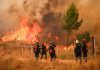Grecia arde bajo 230 incendios y deja cinco muertos Investigan fallas eléctricas y negligencias