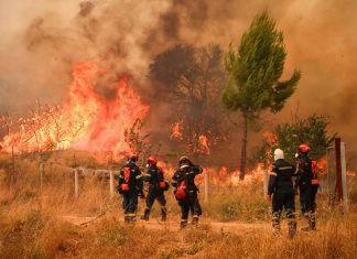 Grecia arde bajo 230 incendios y deja cinco muertos Investigan fallas eléctricas y negligencias