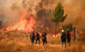 Grecia arde bajo 230 incendios y deja cinco muertos Investigan fallas eléctricas y negligencias