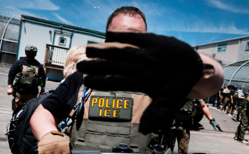 ICE pretende usar guantes eléctricos que “infringirían dolor” contra migrantes ICE planea incorporar guantes capaces de aplicar descargas eléctricas durante sus operaciones de detención en Estados Unidos.