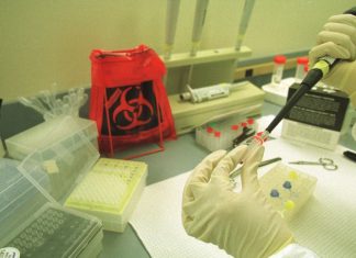 OMS avanza en vacunas contra el ébola de Bundibugyo Ituri prueba un antiviral oral