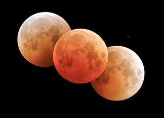 Impresionante eclipse lunar será visible en gran parte del mundo Distintas fases de un eclipse lunar con la Luna en tonos rojizos y anaranjados sobre un fondo negro.