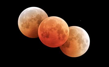 Impresionante eclipse lunar será visible en gran parte del mundo Distintas fases de un eclipse lunar con la Luna en tonos rojizos y anaranjados sobre un fondo negro.