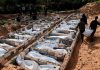 Israel retiene los cuerpos de más de 800 palestinos Fosa común en Gaza donde son enterrados restos de palestinos no identificados.