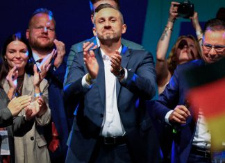Elecciones en estado alemán golpean a Merz y encienden alertas políticas en Europa Miembros de AfD celebran el primer lugar en las elecciones regionales de Sajonia-Anhalt.