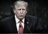 Las mentiras de Donald Trump durante su discurso en la ONU Donald Trump durante su discurso ante la Asamblea General de la ONU en 2026