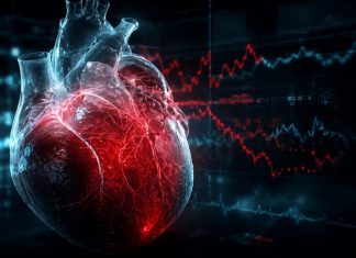 Científicos desarrollan IA que detecta enfermedades cardíacas Imagen ilustrativa de un corazón humano y gráficos de actividad cardíaca relacionados con la inteligencia artificial aplicada a la detección de enfermedades cardíacas.