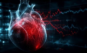 Científicos desarrollan IA que detecta enfermedades cardíacas Imagen ilustrativa de un corazón humano y gráficos de actividad cardíaca relacionados con la inteligencia artificial aplicada a la detección de enfermedades cardíacas.