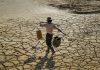 ONU lanza una alerta climática mundial por altos riesgos de El Niño extremo Hombre busca agua mientras camina sobre suelo agrietado por la sequía.