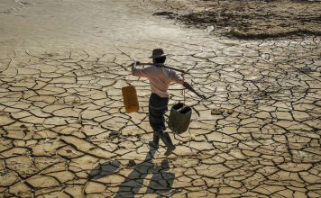 ONU lanza una alerta climática mundial por altos riesgos de El Niño extremo Hombre busca agua mientras camina sobre suelo agrietado por la sequía.