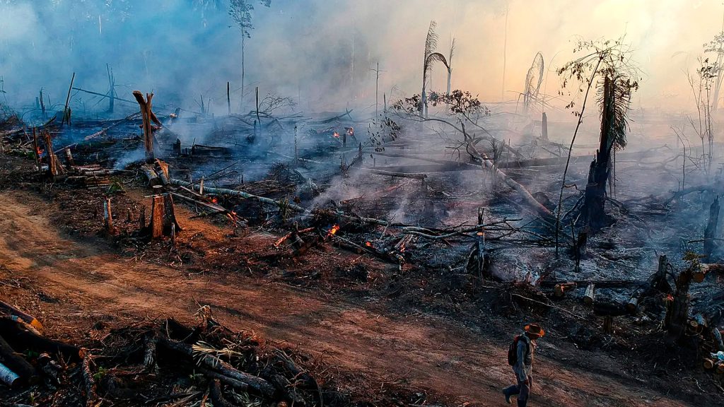 Zona de la Amazonía brasileña afectada por incendios forestales, con árboles quemados y terreno cubierto de cenizas.
