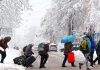 Rusia advierte que Europa necesitará su energía para superar el invierno Rusia sostiene que Europa enfrenta un invierno vulnerable por los altos precios energéticos y la reducción de sus importaciones de gas ruso.