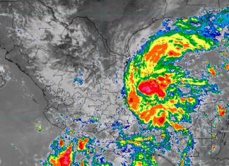 Tormenta Isaias amenaza la costa de EEUU y podría convertirse en huracán Imagen satelital de la tormenta tropical Isaias en el Golfo de México.