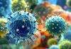 Reportan primer caso humano del virus Shamonda en el mundo Ilustración microscópica de partículas virales representativas del virus Shamonda.